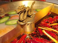 -小龙翻大江文化火锅(宽窄店)