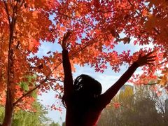 -长白岛森林公园