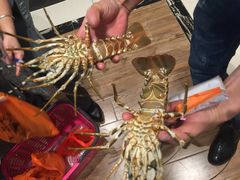 -大东海海鲜酒楼(渔人码头总店)