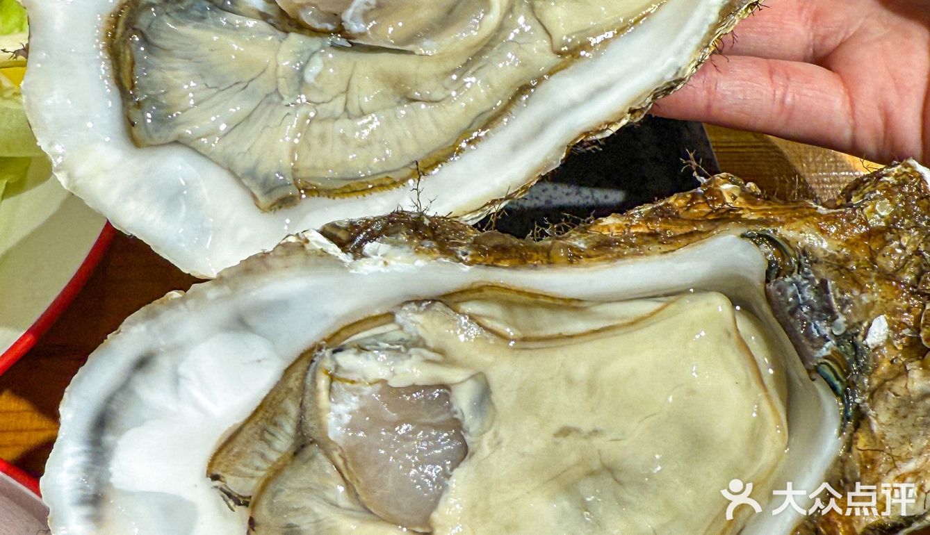 在苏州！会反复来吃的鸡煲！！