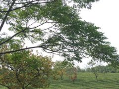 -敬亭山风景名胜区