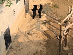 -石家庄市动物园