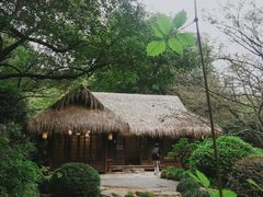 -中国茶叶博物馆(双峰馆区)