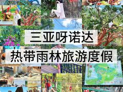 -呀诺达热带雨林