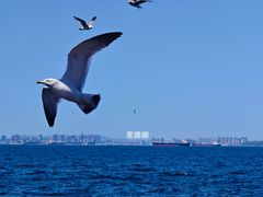 -大连海昌东方水城