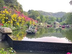 -深圳仙湖植物园