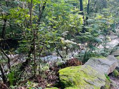-本溪汤沟绿石谷森林公园