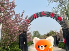 -太阳宫公园