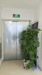 -成都西区医院整形美容