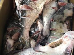 -满兴咱妈烀饼铁锅炖(兰州北街店)