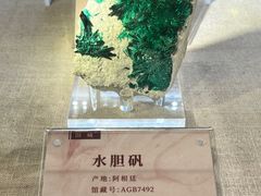 -安徽省地质博物馆
