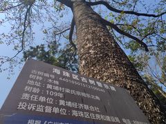 -黄埔古港