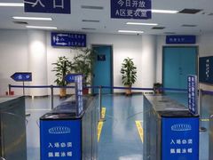 -奥体中心游泳馆