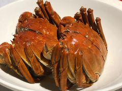 熟醉大闸蟹-玫瑰厅上海菜(兴国路店)