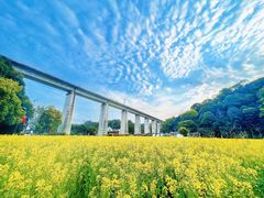 -婺源风景区
