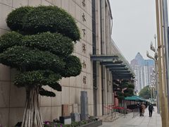 -白鹤梁水下博物馆