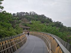 -福道