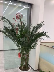点击看大图 -悟空祛痘