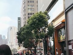 -沈大成(南京东路店)