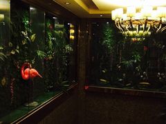 -东方之珠洗浴休闲广场(南开店)