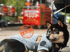 -李易面馆(树木岭店)