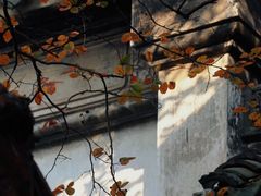 -东山雕花楼