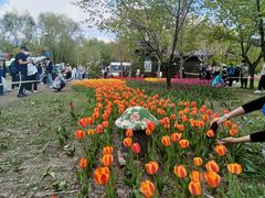 -长春公园(普阳街道)