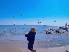 -老虎石海上公园