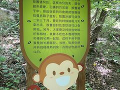 -大岭沟猕猴桃谷风景区