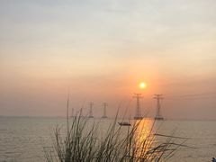 -宝安西湾红树林湿地公园