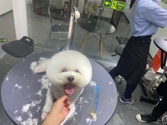 -宠物家(双井店)