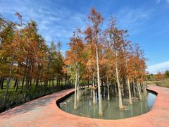 -碧丽宫大酒店(召稼楼店)