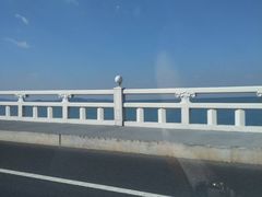 -百年尹氏汤包(湖南路狮子桥店)