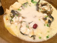 -老福耶小草帽石锅鱼(奥体店)