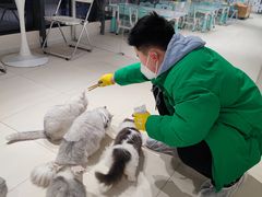 -怪兽屋·羊驼·猫咖·狗咖(俊华广场店)