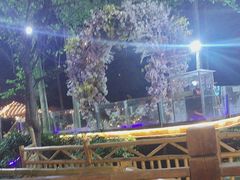 -二荆条·蜀鲜汇城市森林火锅