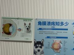 -守诺宠物医院·眼科· 特色牙科·异宠专科(虹口店)