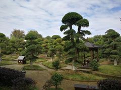 -武汉紫薇都市田园