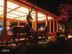 -蓝鲸湾汤泉(包河店)