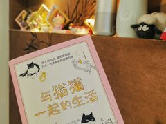 -楼上猫咖(罗湖店)