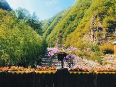 -牛背梁国家森林公园