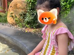 -东海森林温泉度假酒店