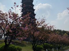 -重庆园博园