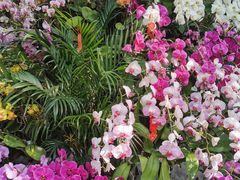 -北京植物园-展览温室