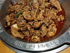 -成老灶火锅鸡(平山店)