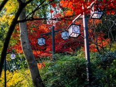 -灵隐飞来峰景区