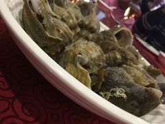 -奥利加尔大酒店-中餐厅