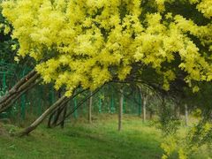 -厦门国家会计学院