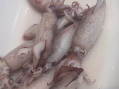 -舌尖上·霞浦滩涂海鲜·新闽菜(总店)