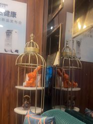 -东森自然美.INDIBA.美容SPA.皮肤管理